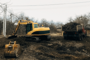 land-clearing (1)